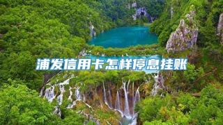 浦发信用卡怎样停息挂账