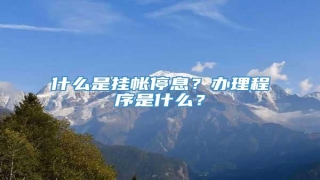 什么是挂帐停息?办理程序是什么?