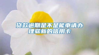贷款逾期是不是能申请办理崭新的信用卡