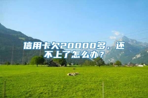 信用卡欠20000多，还不上了怎么办？