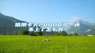 信用卡欠20000多,还不上了怎么办?