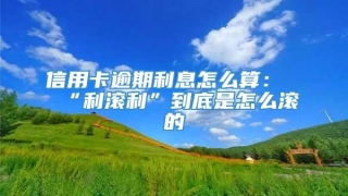 信用卡逾期利息怎么算:“利滚利”到底是怎么滚的