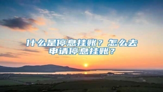 什么是停息挂账?怎么去申请停息挂账?
