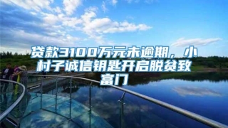 贷款3100万元未逾期，小村子诚信钥匙开启脱贫致富门