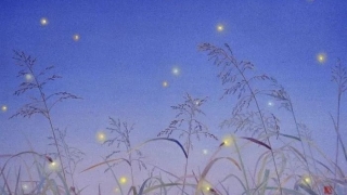 话商麻·案例-109最高院：银行贷款债权非金融机构受让人可否主张复利、罚息