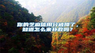 你的芝麻信用分被降了,知道怎么来补救吗?