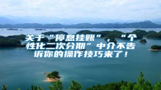 关于“停息挂账”,“个性化二次分期”中介不告诉你的操作技巧来了!