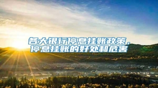 各大银行停息挂账政策,停息挂账的好处和危害