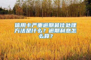 信用卡严重逾期最佳处理方法是什么？逾期利息怎么算？