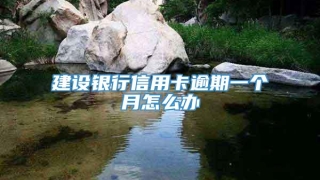 建设银行信用卡逾期一个月怎么办