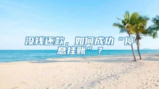 没钱还款，如何成功“停息挂账”？