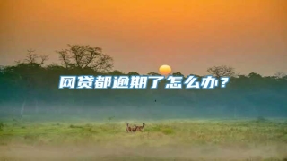 网贷都逾期了怎么办?