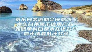 京东白条逾期会停息吗(京东白条属于信用产品,如账单制白条未在还款日前还清最低还款额