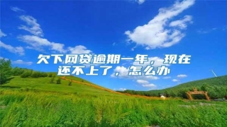欠下网贷逾期一年,现在还不上了,怎么办