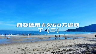 网贷信用卡欠60万逾期了(三)