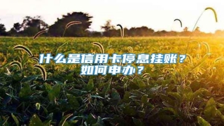什么是信用卡停息挂账?如何申办?