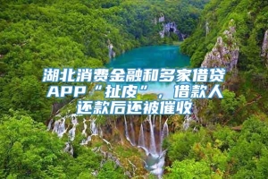 湖北消费金融和多家借贷APP“扯皮”，借款人还款后还被催收