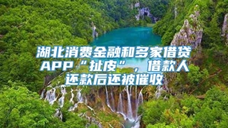 湖北消费金融和多家借贷APP“扯皮”,借款人还款后还被催收