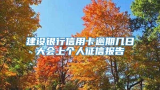 建设银行信用卡逾期几日大会上个人征信报告