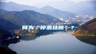 何为“停息挂账”?