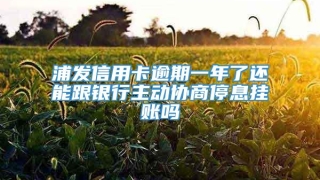 浦发信用卡逾期一年了还能跟银行主动协商停息挂账吗