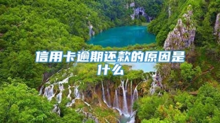 信用卡逾期还款的原因是什么