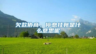 欠款协商,停息挂账是什么意思呢