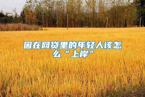 困在网贷里的年轻人该怎么“上岸”