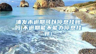 浦发未逾期可以停息挂账吗(不逾期能不能办停息挂账)