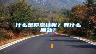 什么是停息挂账?有什么用处?