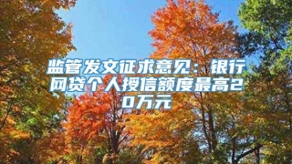 监管发文征求意见：银行网贷个人授信额度最高20万元