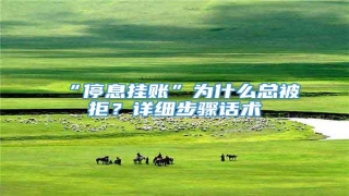 “停息挂账”为什么总被拒?详细步骤话术
