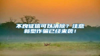 不良征信可以清除?注意新型诈骗已经来袭!