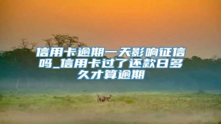 信用卡逾期一天影响征信吗_信用卡过了还款日多久才算逾期
