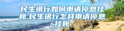 民生银行如何申请停息挂账,民生银行怎样申请停息挂账