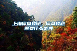 上海停息挂账，停息挂账需要什么条件