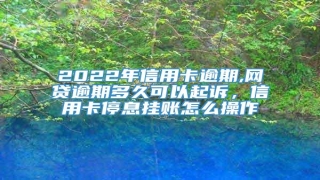 2022年信用卡逾期,网贷逾期多久可以起诉,信用卡停息挂账怎么操作