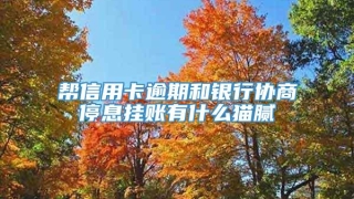 帮信用卡逾期和银行协商停息挂账有什么猫腻