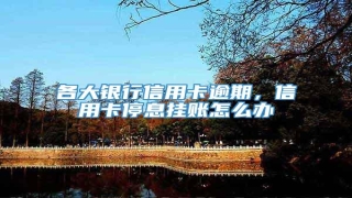 各大银行信用卡逾期,信用卡停息挂账怎么办