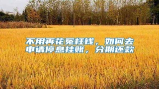 不用再花冤枉钱,如何去申请停息挂账,分期还款