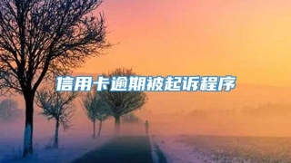 信用卡逾期被起诉程序