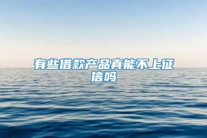 有些借款产品真能不上征信吗