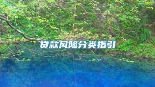 贷款风险分类指引