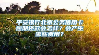 平安银行北京公务信用卡逾期还款会怎样？会产生哪些费用？