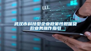 武汉市科技型企业政策性担保贷款业务操作指引