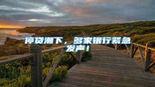 停贷潮下,多家银行紧急发声!