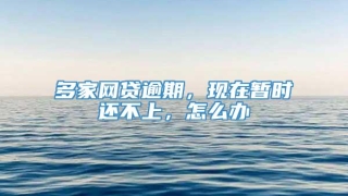 多家网贷逾期,现在暂时还不上,怎么办