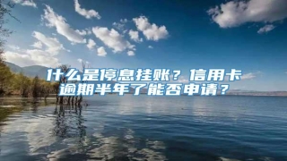 什么是停息挂账?信用卡逾期半年了能否申请?
