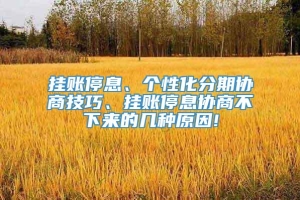 挂账停息、个性化分期协商技巧、挂账停息协商不下来的几种原因!