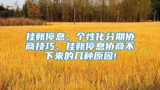 挂账停息、个性化分期协商技巧、挂账停息协商不下来的几种原因!